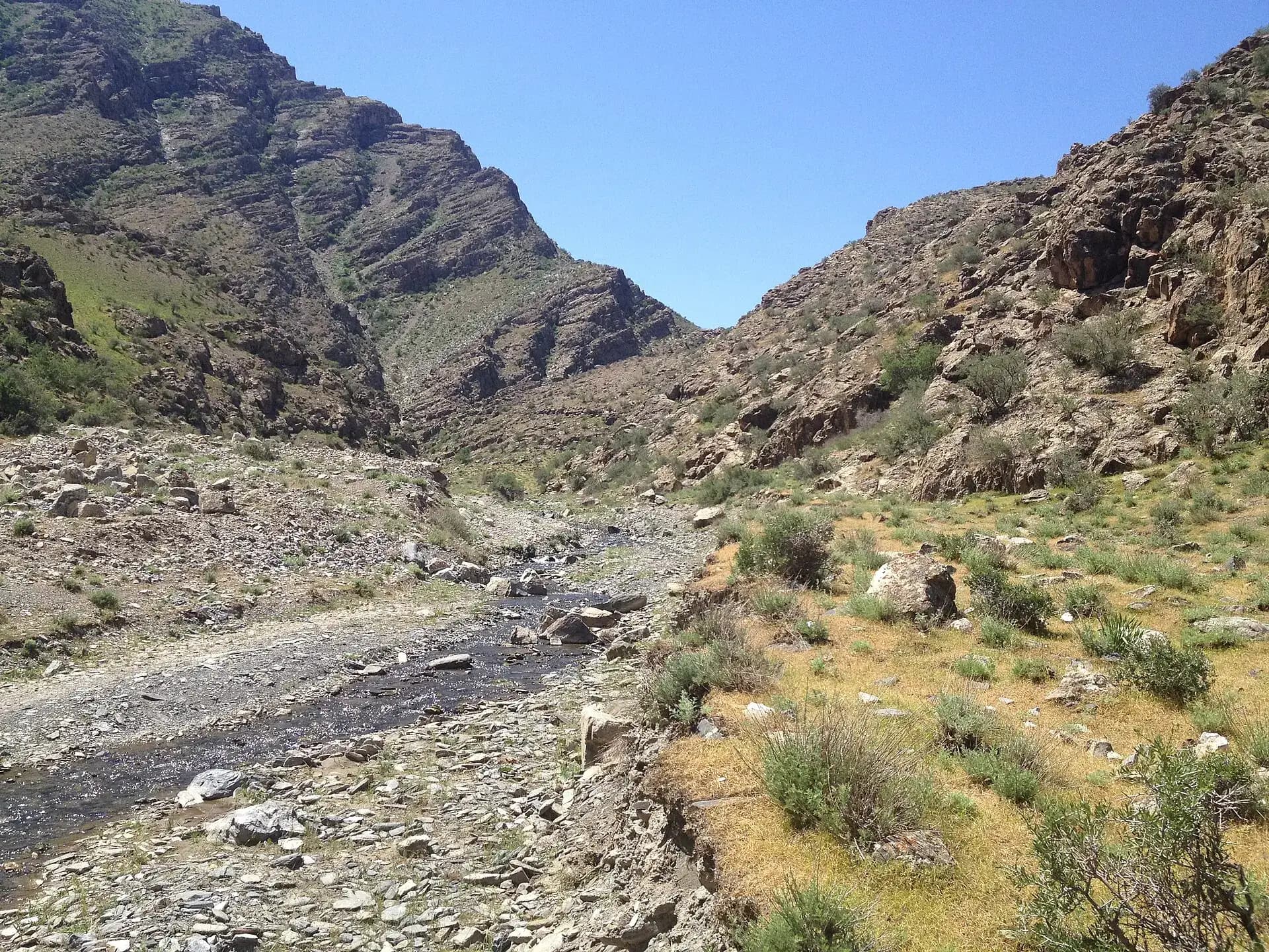 A mountain stream in the Nuratau range
