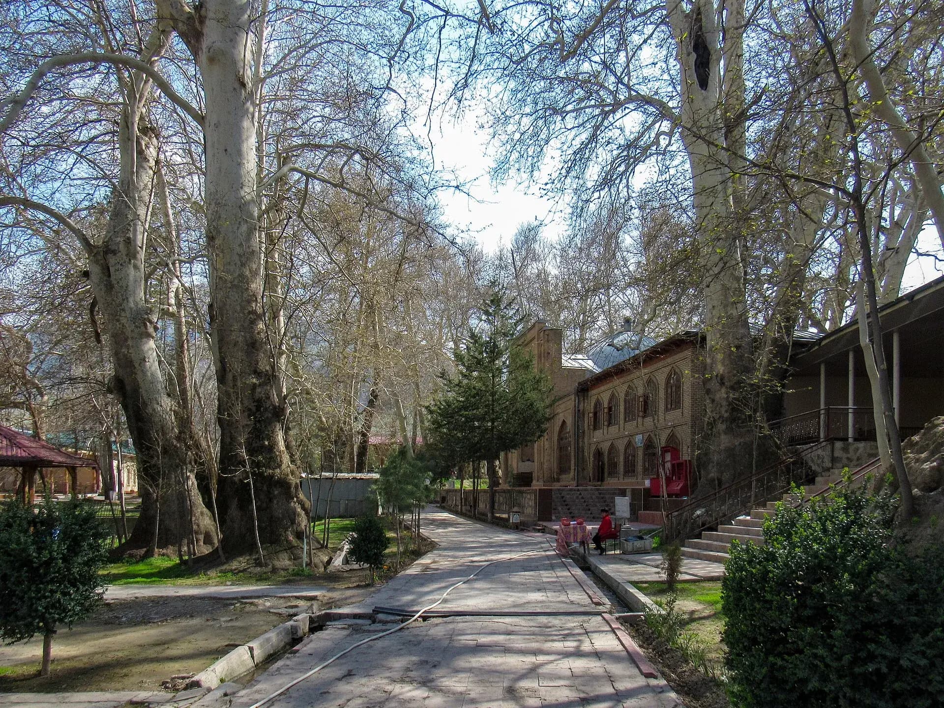 The Chor-Chinor grove in Urgut